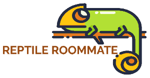 Reptile Roommate